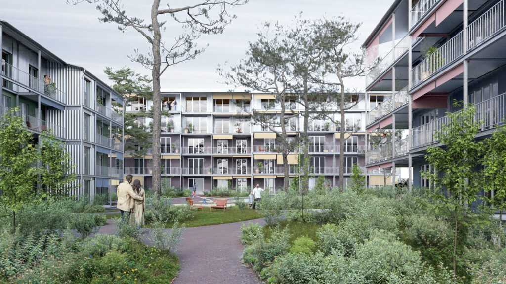 Studienauftrag  Wohnhäuser, Buchs<br><br>2025